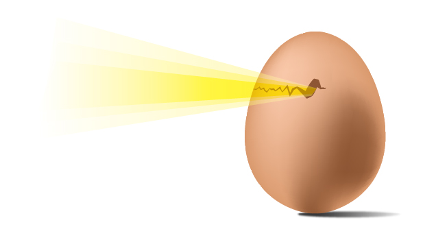 A cartoon egg with light shining through its crack