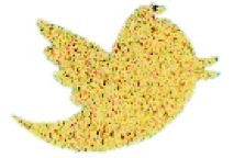 The twitter icon made out of small images