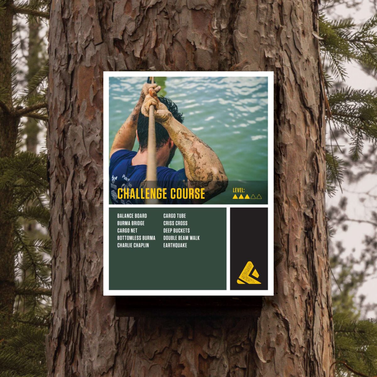 Challenge course signage for The Forge adventure park affixed to a tree