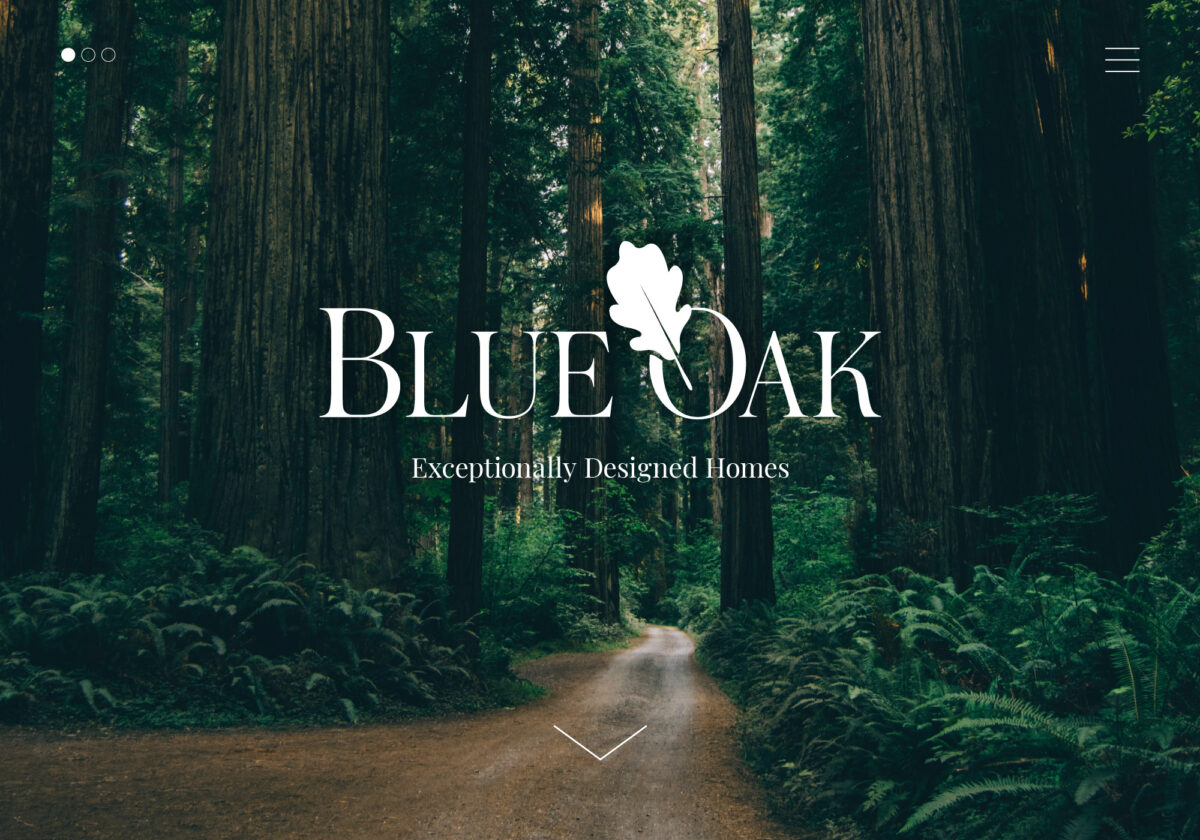 Blue Oak Partners
